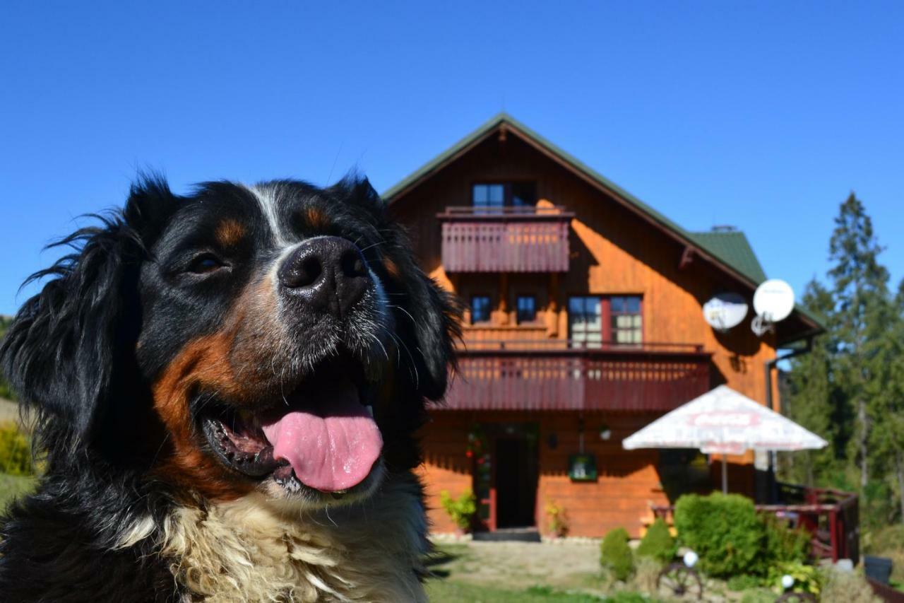 Penzion Dinda Stará ľubovňa Exteriör bild